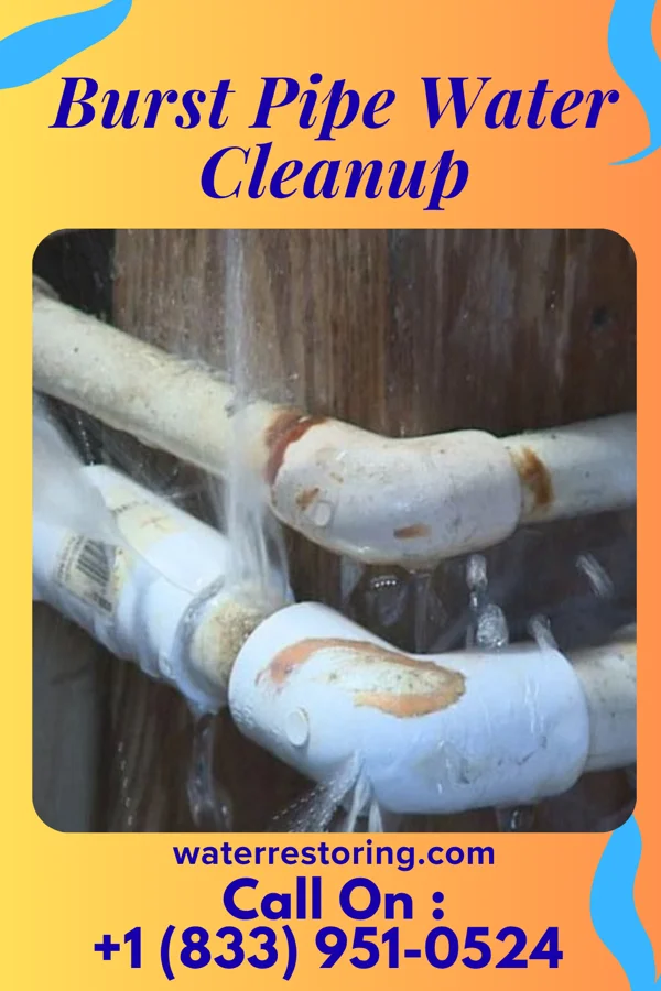 Burst Pipe Water Cleanup in Beaver Dam, KY