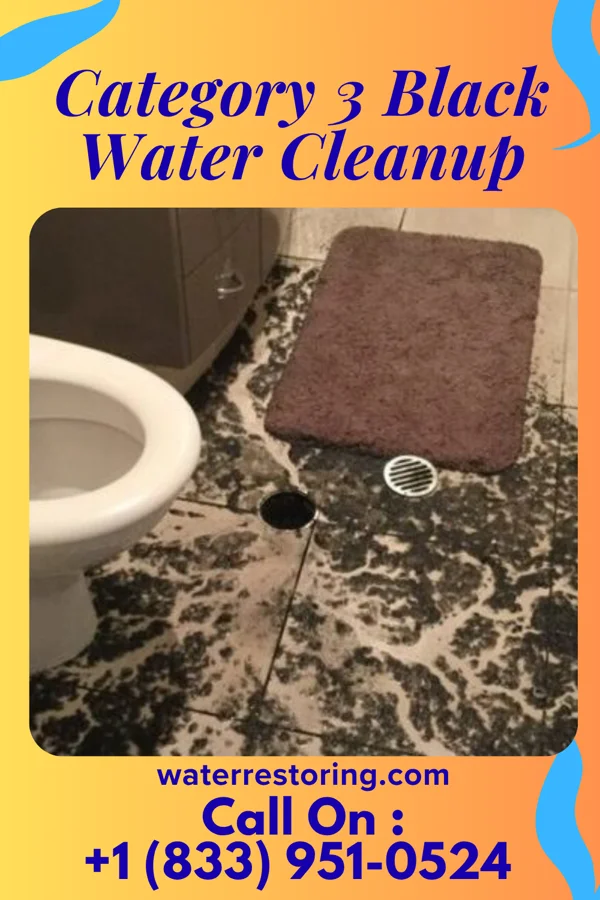 Category 3 Black Water Cleanup in Beaver Dam, KY