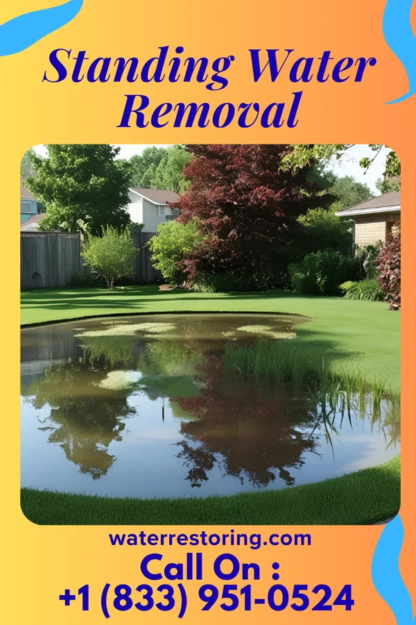 Standing Water Removal in Beaver Dam, KY